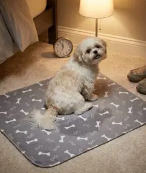 Customer photo review of BuddyPup™ Tapete Absorbente Lavable con Feromonas