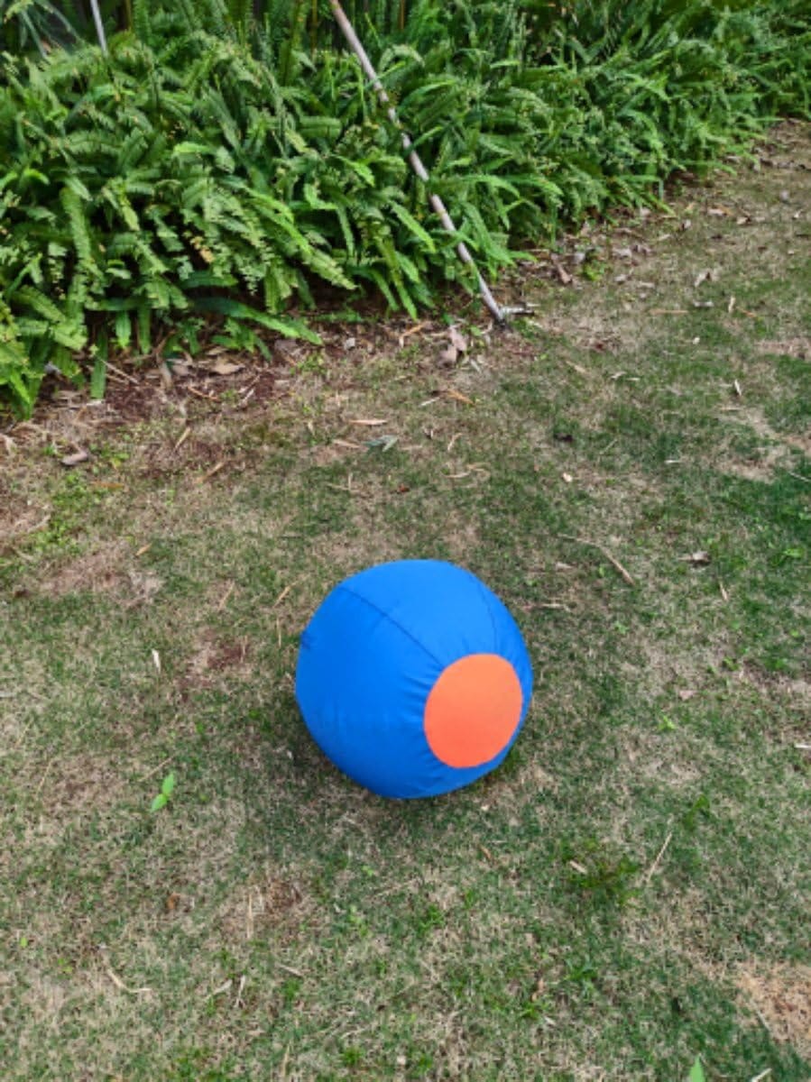 Customer photo review of Seravi Herding Ball