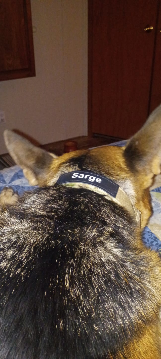 Customer photo review of Custom Hook & Loop Patch For Harness (Printed - 1 Pair)