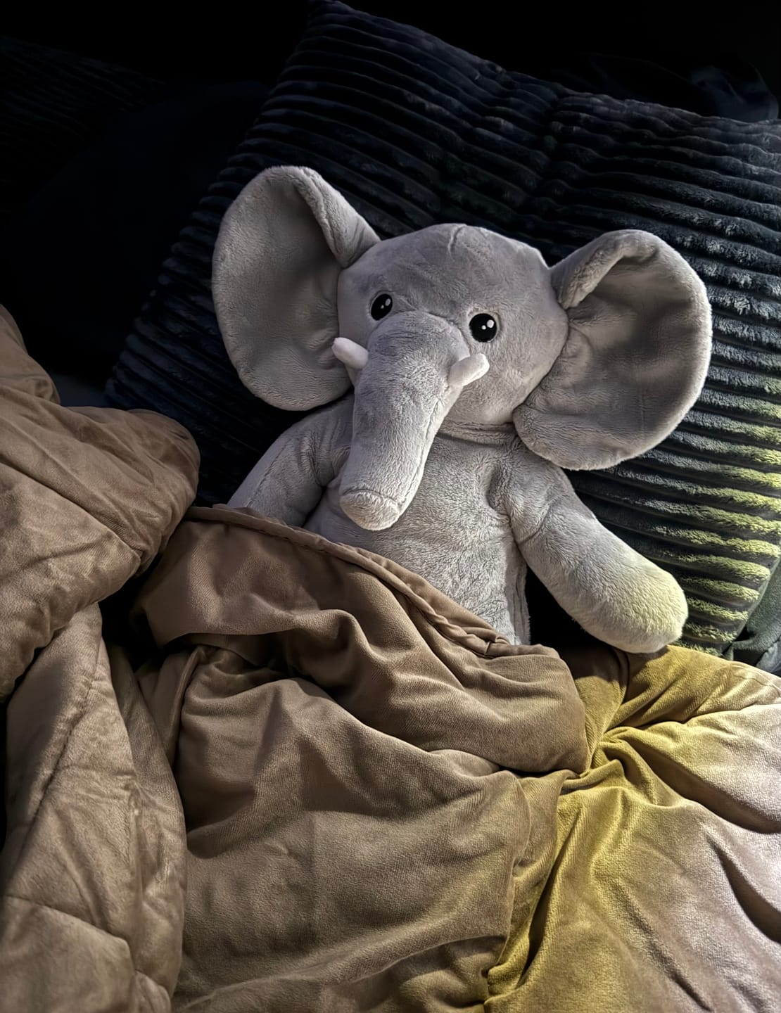 Customer photo review of Olifant Verzwaringsknuffel 2kg
