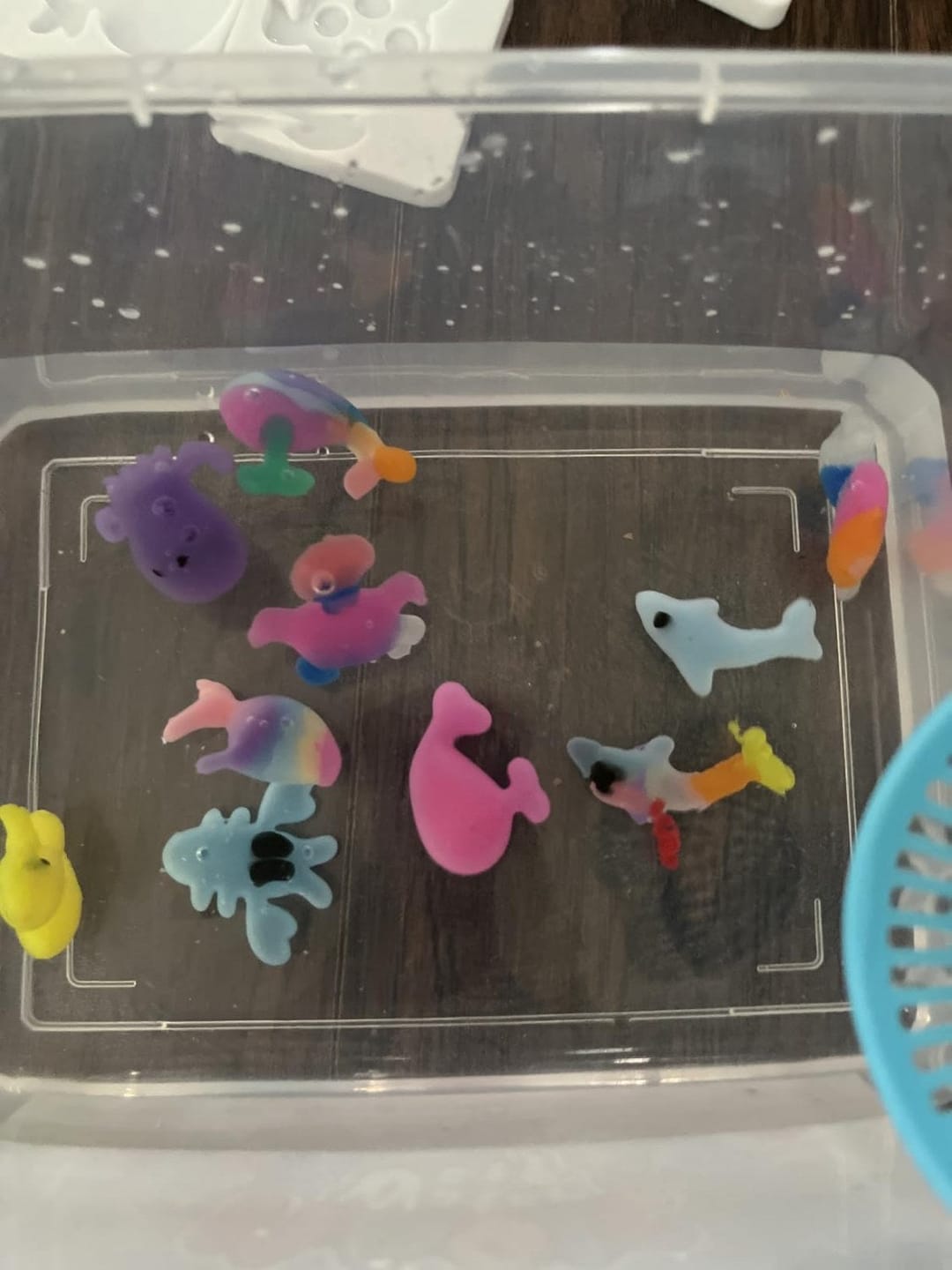 Customer photo review of Wasser Bastelset Meerestiere 3D Figuren | Kreatives DIY Set Kinder Ozean Tiere formen