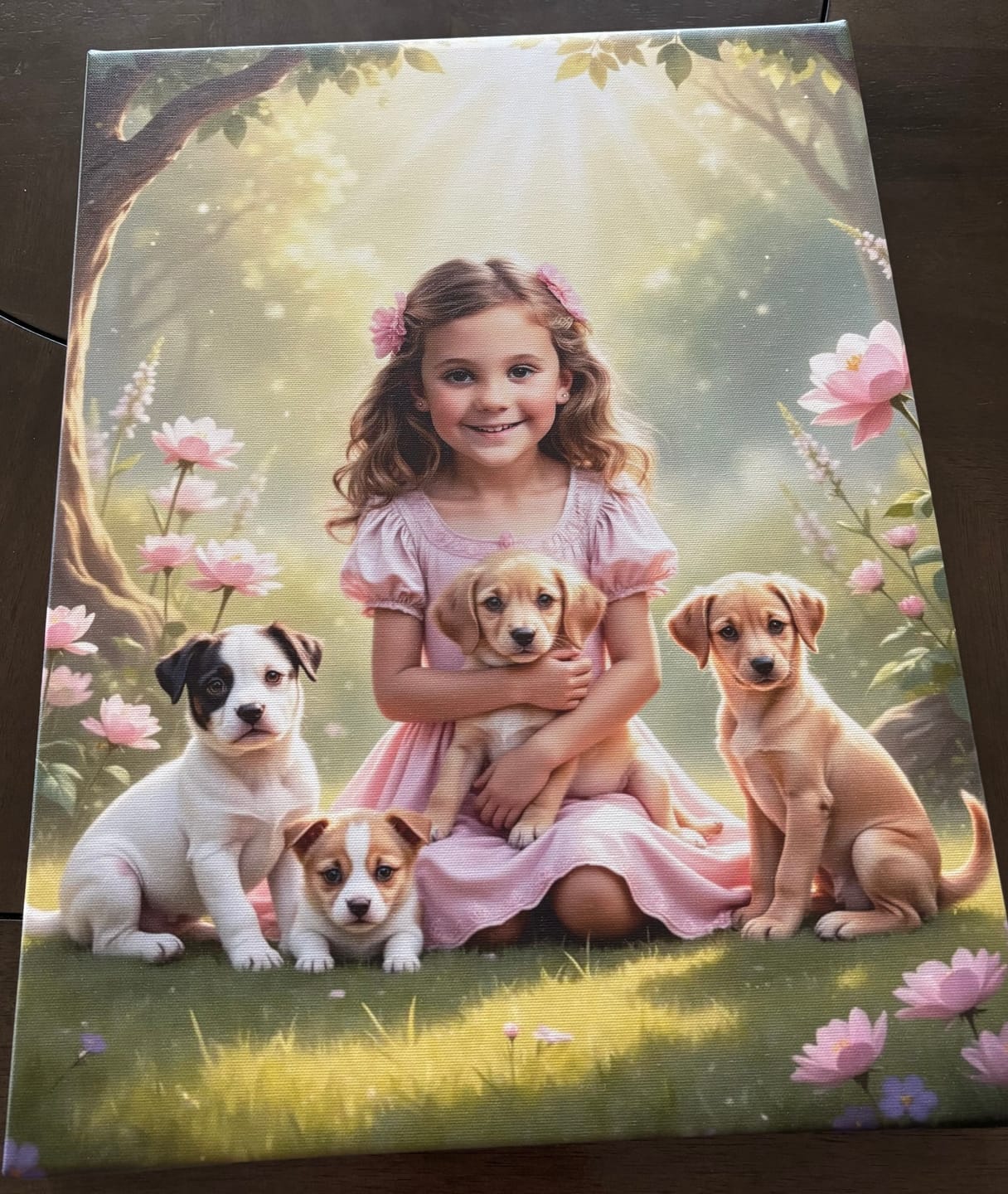 Customer photo review of A Princesa do Gelo