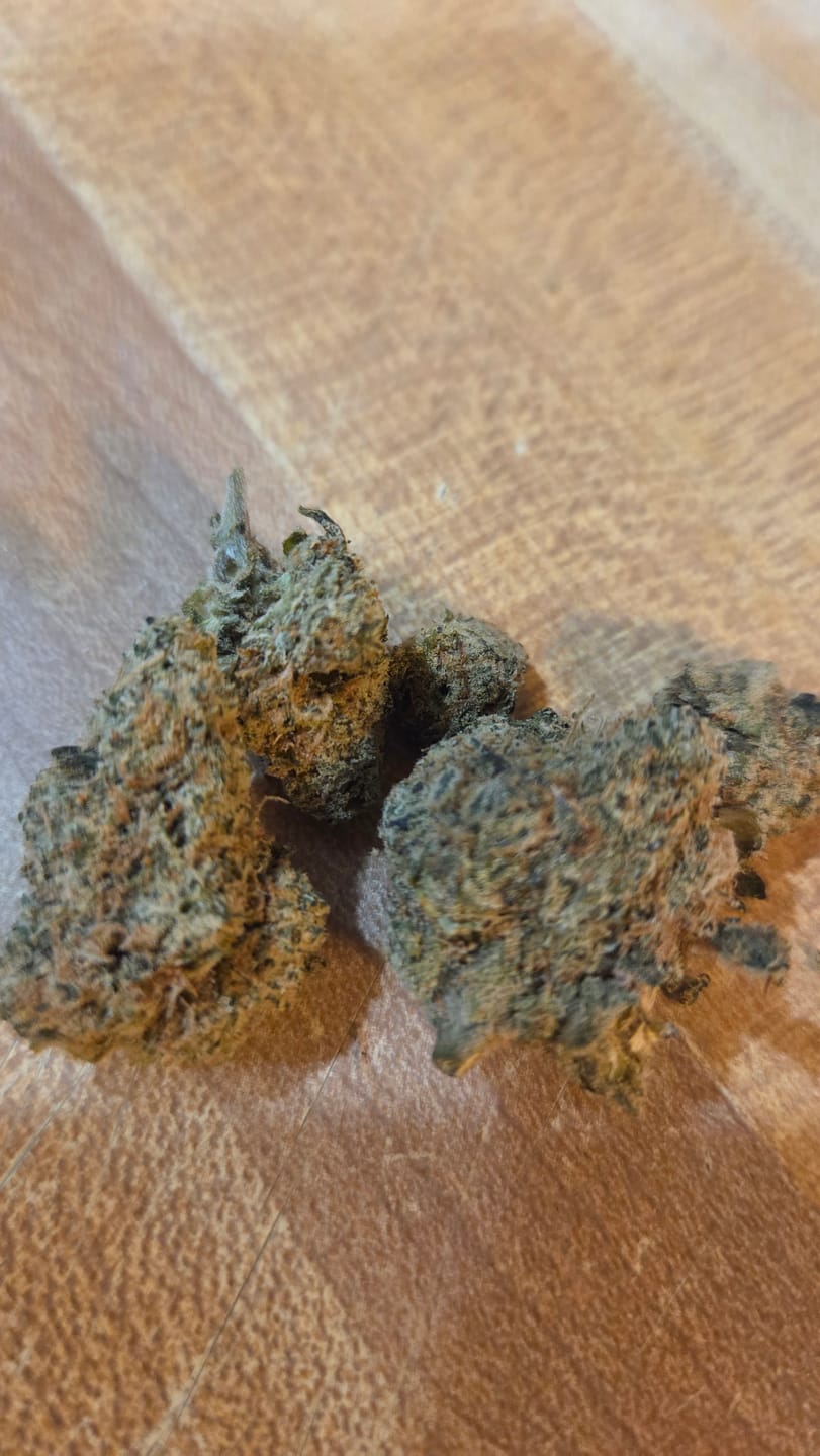 Customer photo review of Free Apex 8th