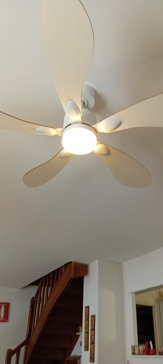 Customer photo review of Libellule | Ventilateur de plafond