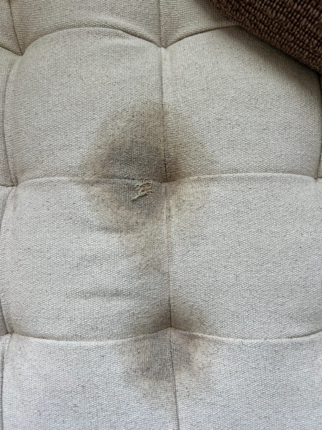 Customer photo review of Green Mitt Starter Kit