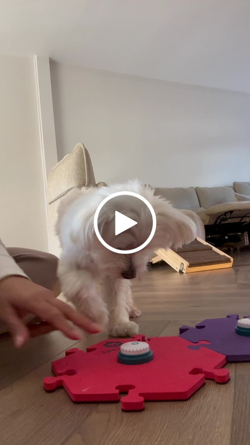 Customer video review of Get Started Kit Fire
