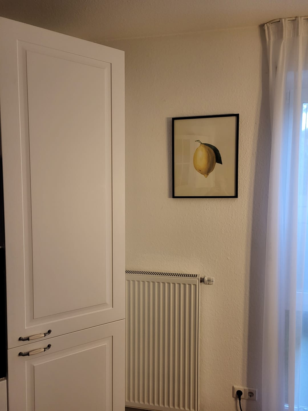 Customer photo review of Fotografie Poster Zitrone