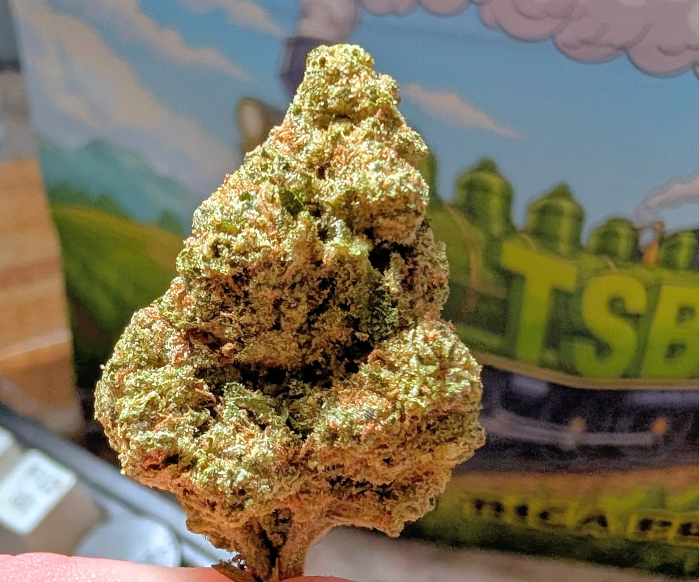 Customer photo review of Cheap Indoor THCA Flower Ounce