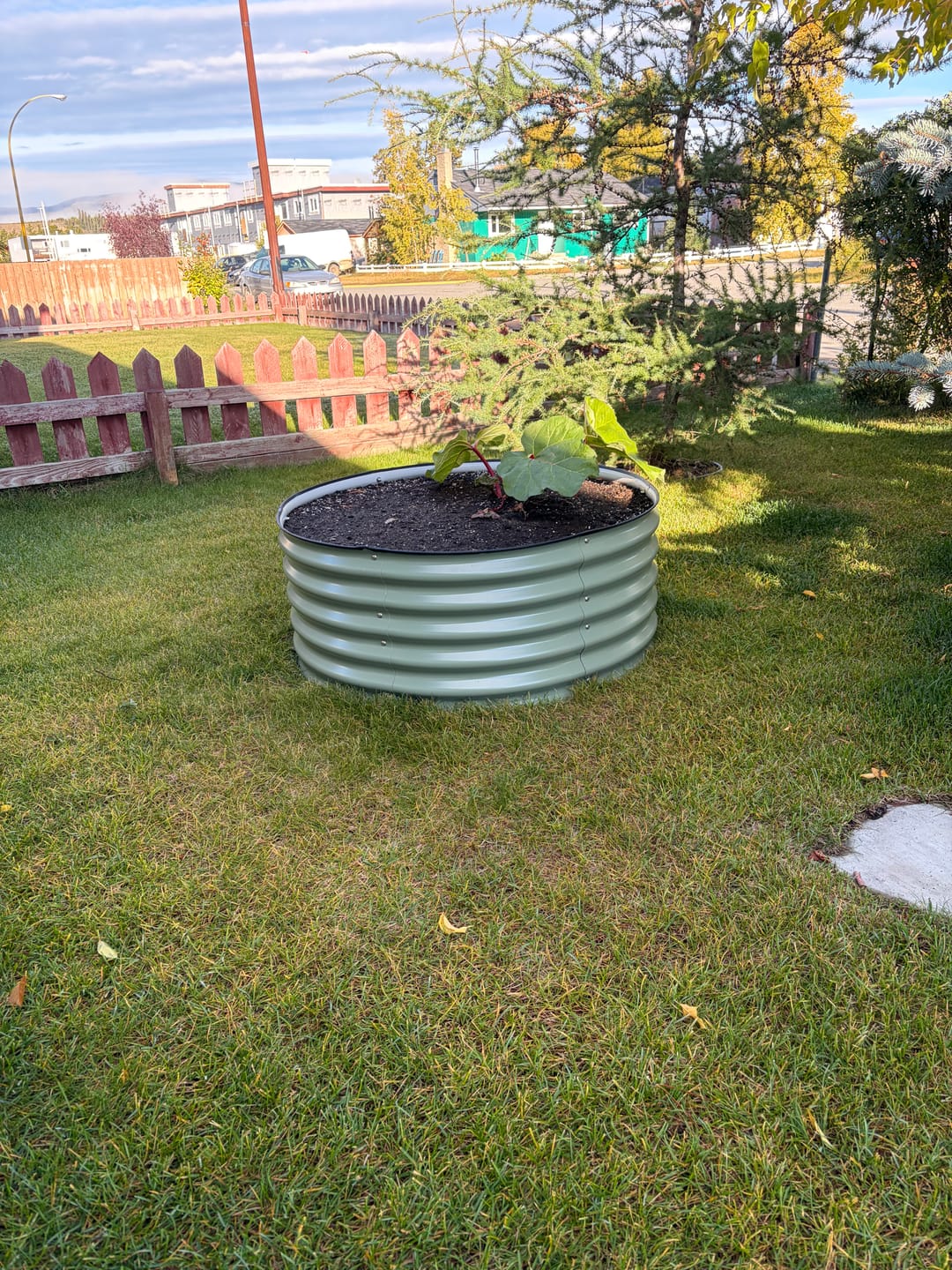Customer photo review of 17” Tall Large Round