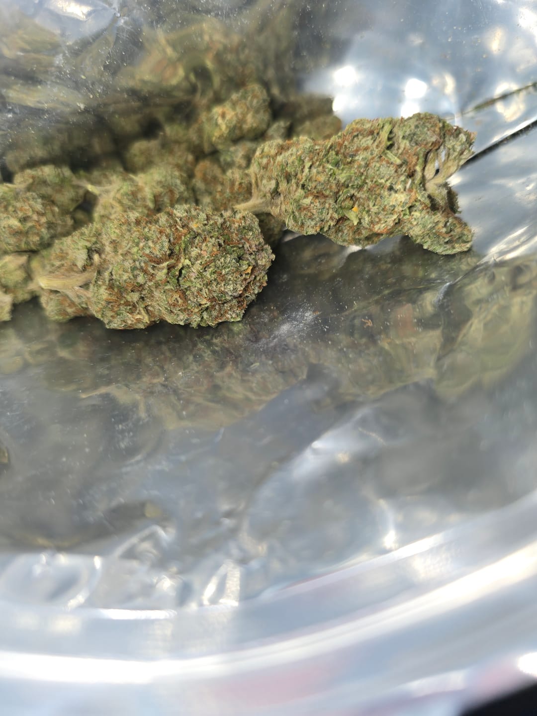 Customer photo review of Champelli THCA Flower