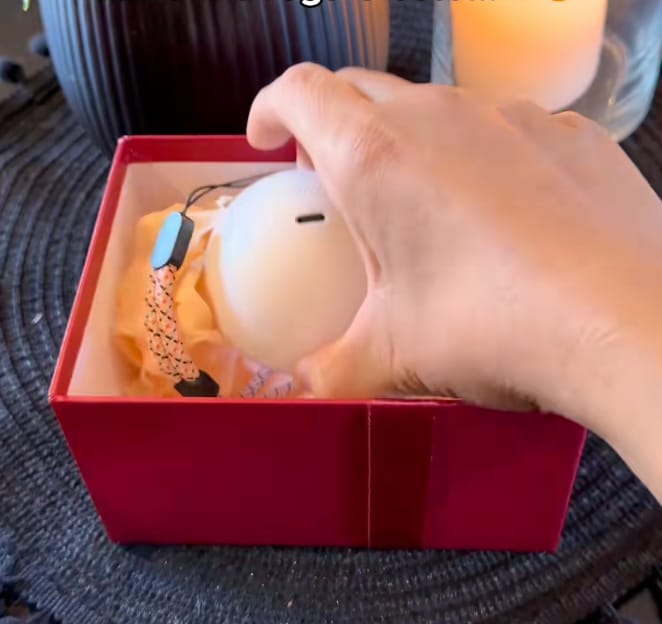 Customer photo review of Merry Ball™