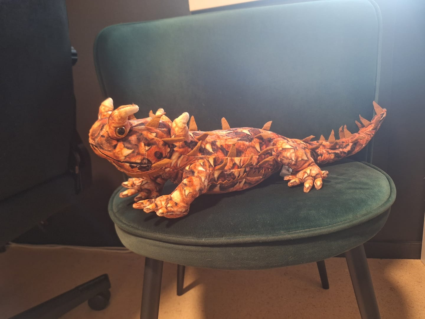 Customer photo review of Thorny Devil Lizard Soft Stuffed Plush Toy