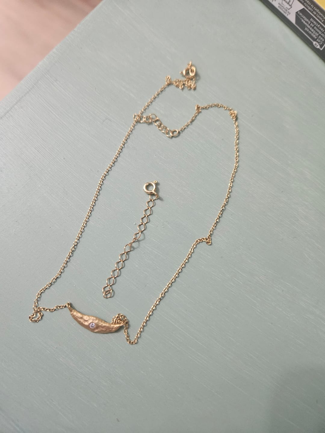 Customer photo review of Extensão Universal