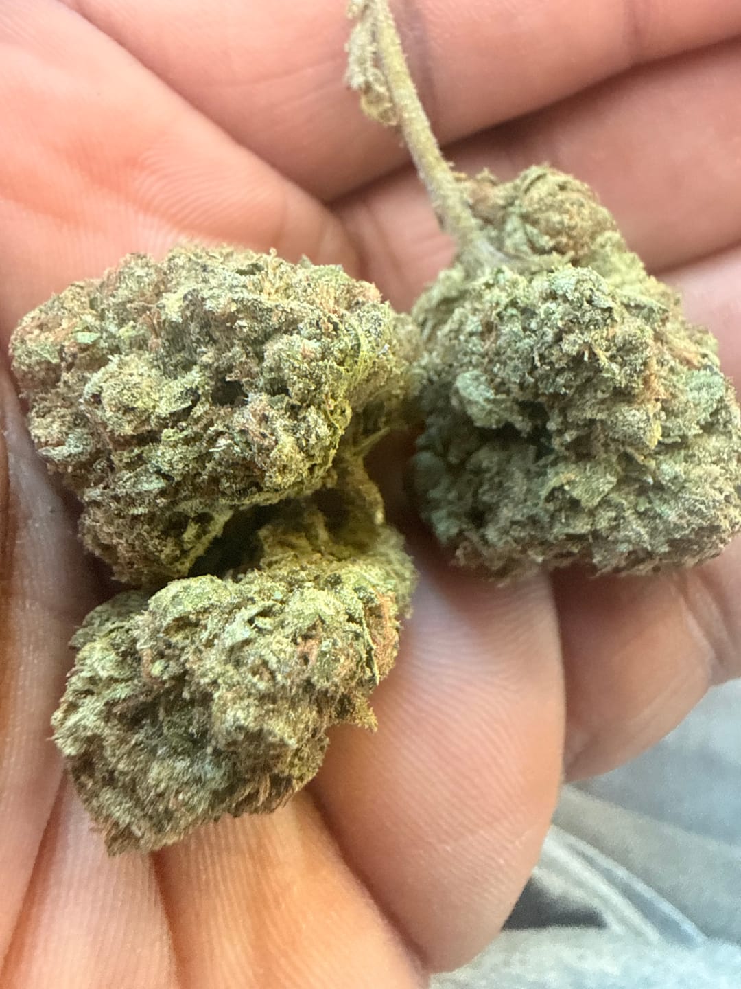 Customer photo review of White Widow THCA Flower