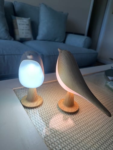 Customer's two wooden Glow Bird lamps on a white coffee table, one glowing with a soft light.