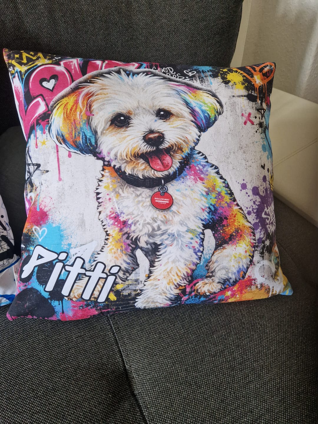 Customer photo review of Dein Haustier als Kissen - Graffiti