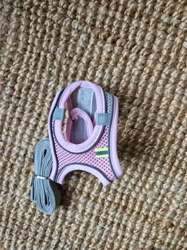 Customer photo review of ARNÉS + CORREA ANTIESCAPE PARA GATOS
