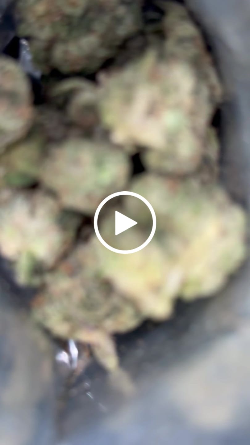 Customer video review of Hey Sweet Stuff Bundle - 3 Half oz THCA (Budget)