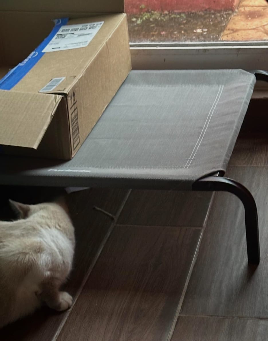 Customer photo review of Cama Elevada para Perros