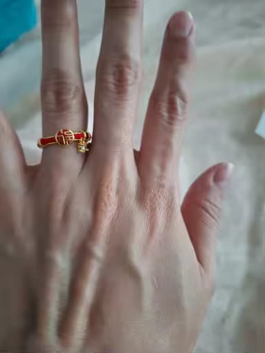 Customer photo review of Crystal Charm Silver-Tone Stainless Steel Hoop Earrings