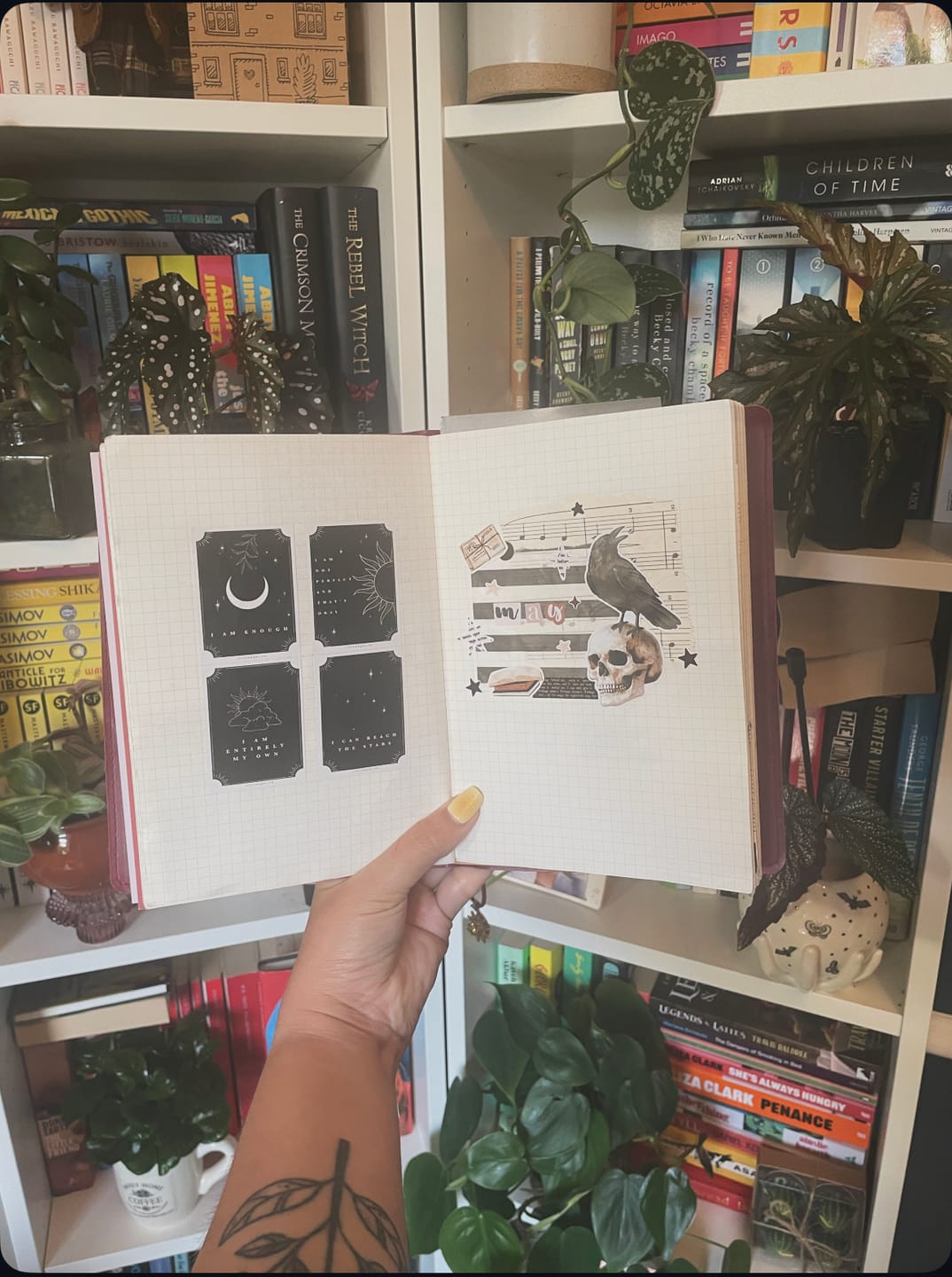 Customer photo review of Graph Note