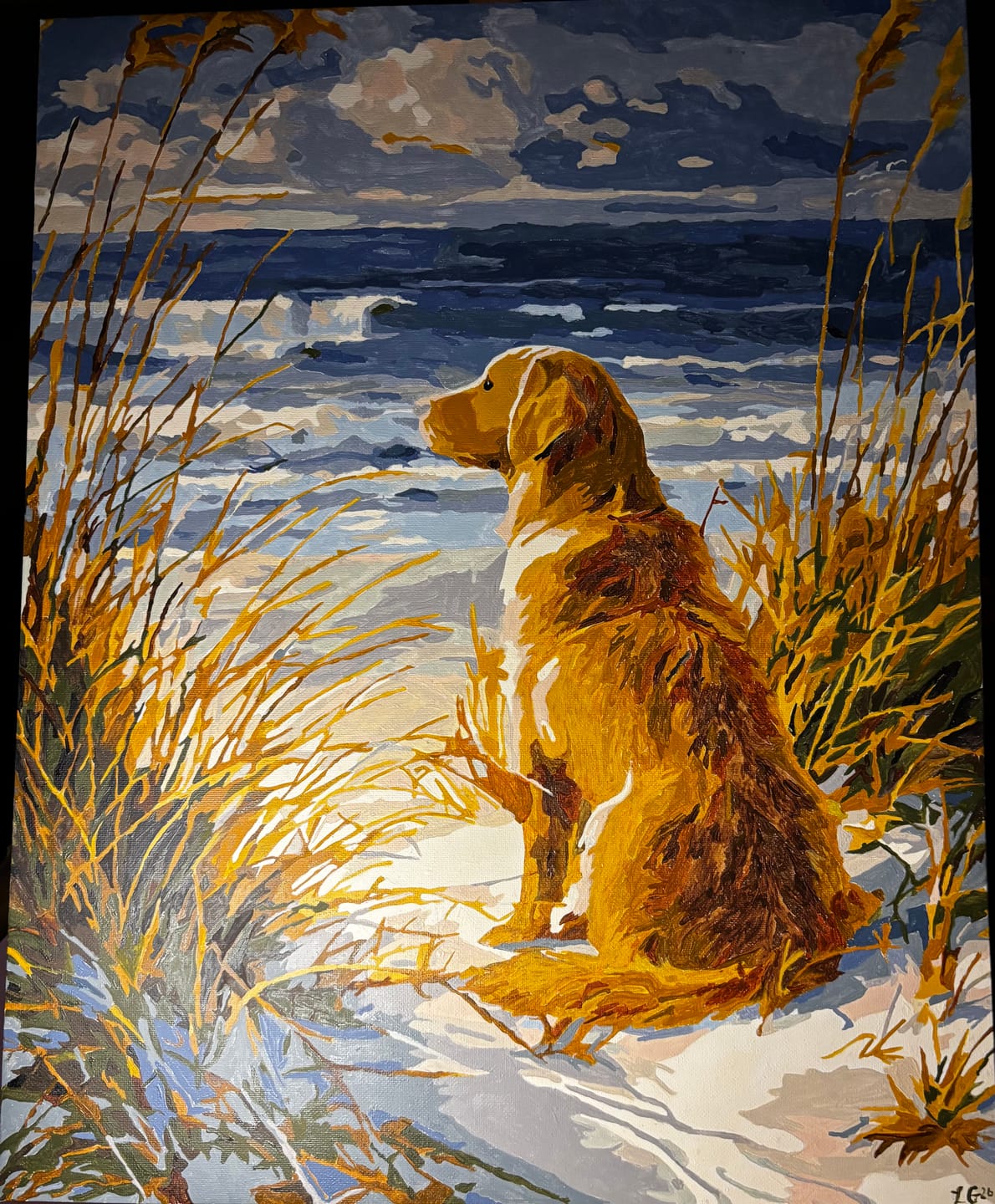 Customer photo review of Waiting Labrador | Paint by Number