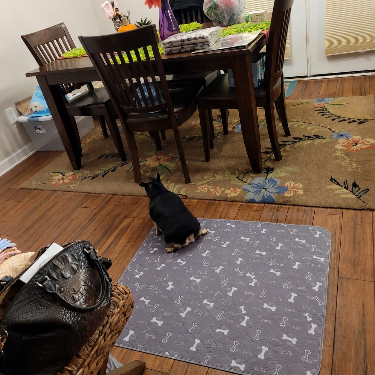Customer photo review of BuddyPup™ Tapete Absorbente Lavable con Feromonas