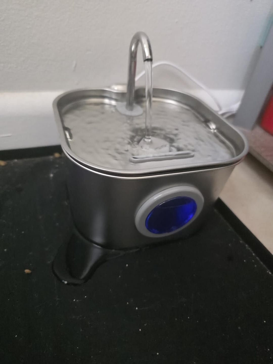 Customer photo review of AquaPurr™ Fresh Water Fountain