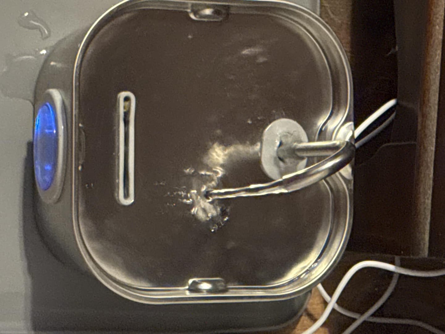 Customer photo review of AquaPurr™ Fresh Water Fountain