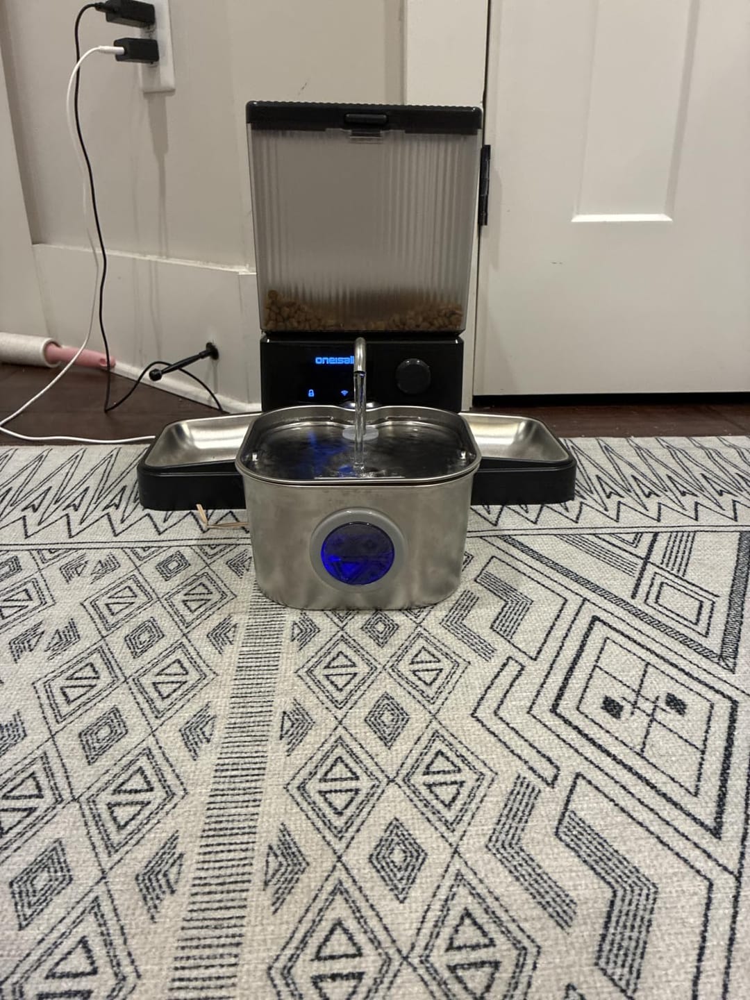 Customer photo review of AquaPurr™ Fresh Water Fountain