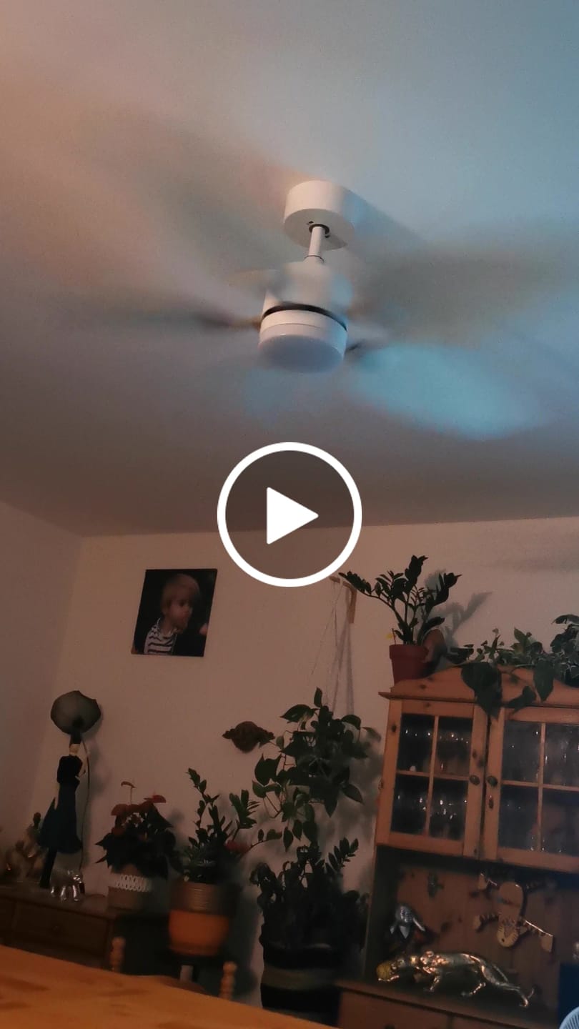 Customer video review of Virevole | Ventilateur de plafond – Ø 131 cm