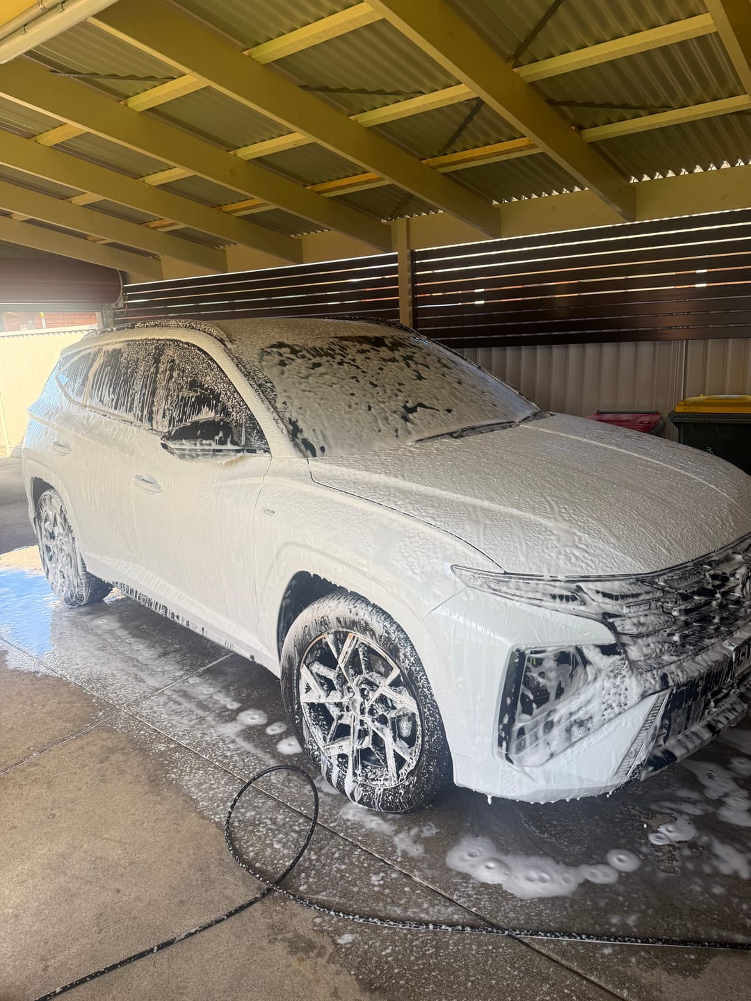 Customer photo review of Wash & Wax