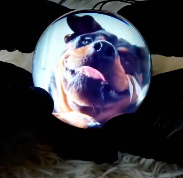 Customer photo review of Merry Ball™