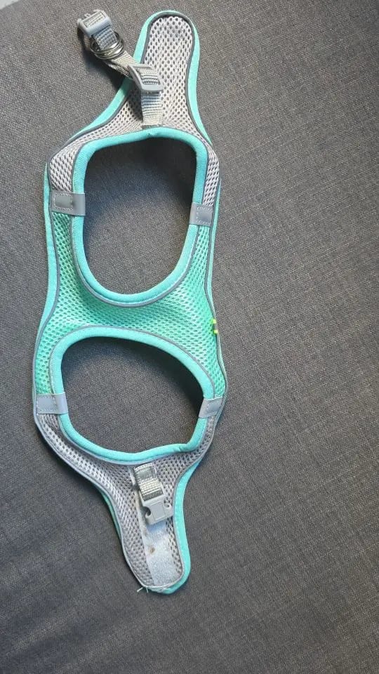 Customer photo review of ARNÉS + CORREA ANTIESCAPE PARA GATOS