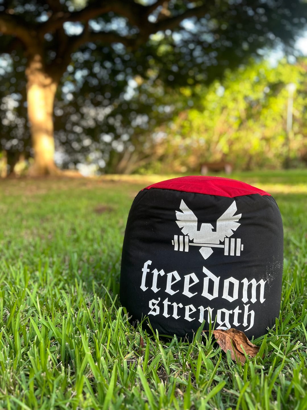 Customer photo review of Strongman Sandbag