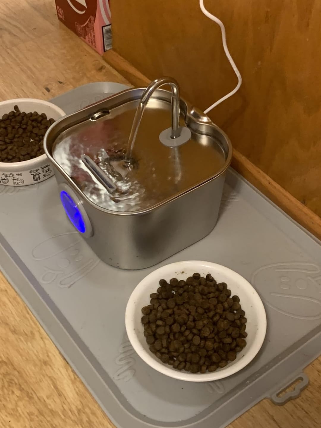 Customer photo review of AquaPurr™ Fresh Water Fountain