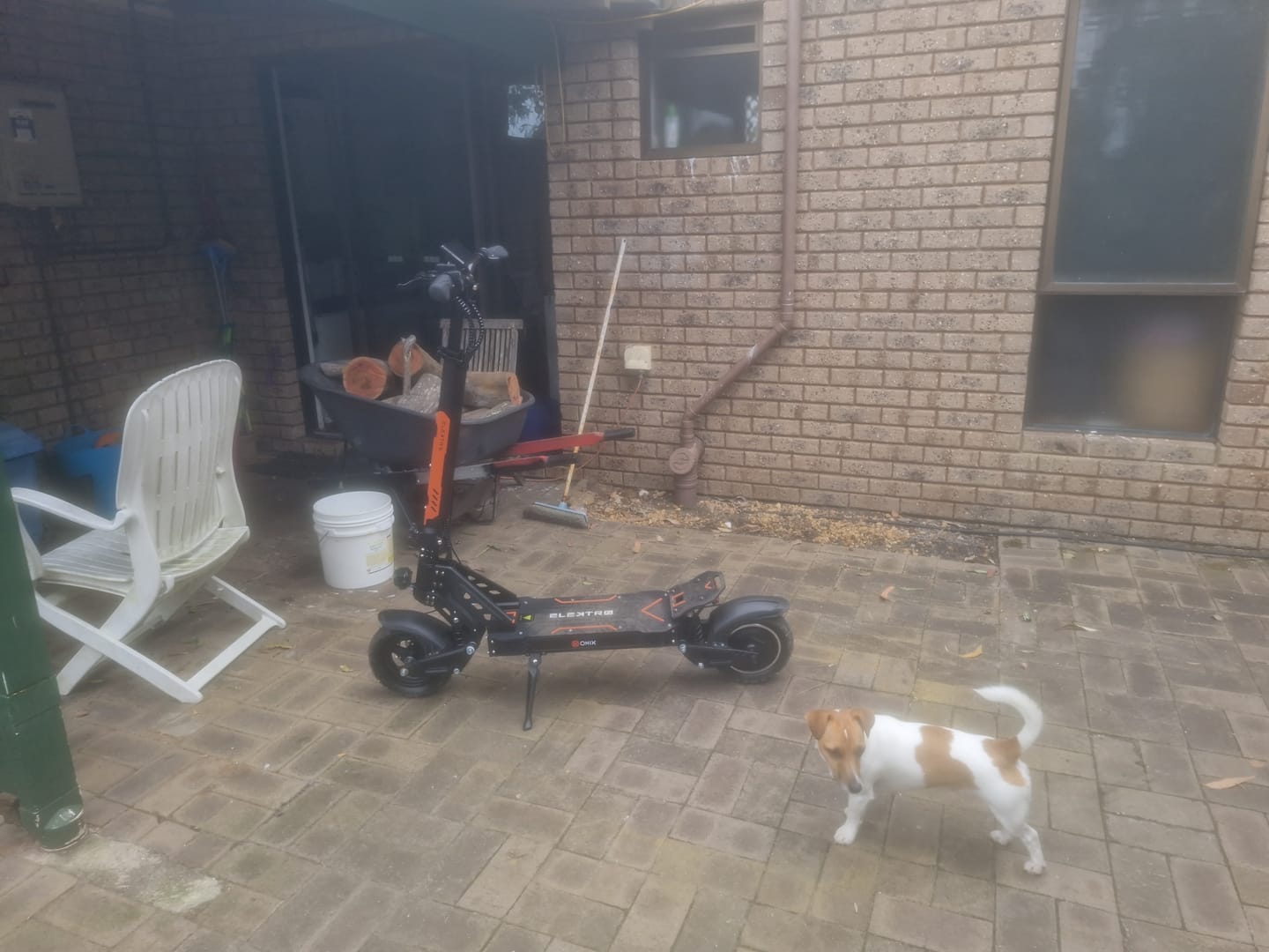Customer photo review of Elektro Onix