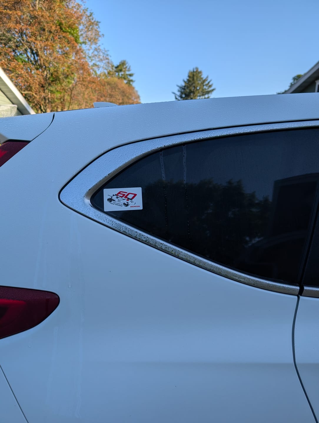 Customer photo review of 60th Anniversary First F1 Win Sticker