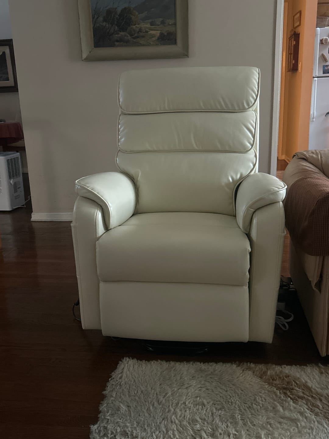 Customer photo review of 9188S Small Power Lift Recliner – Dual Motor, Lay Flat, Heat & Massage
