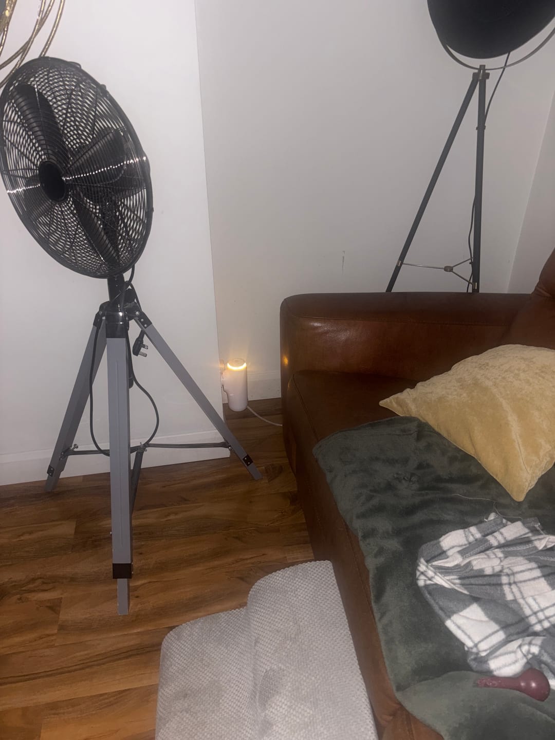 Customer photo review of ZenPlug – The Smart Bluetooth Waterless Plug-In Diffuser
