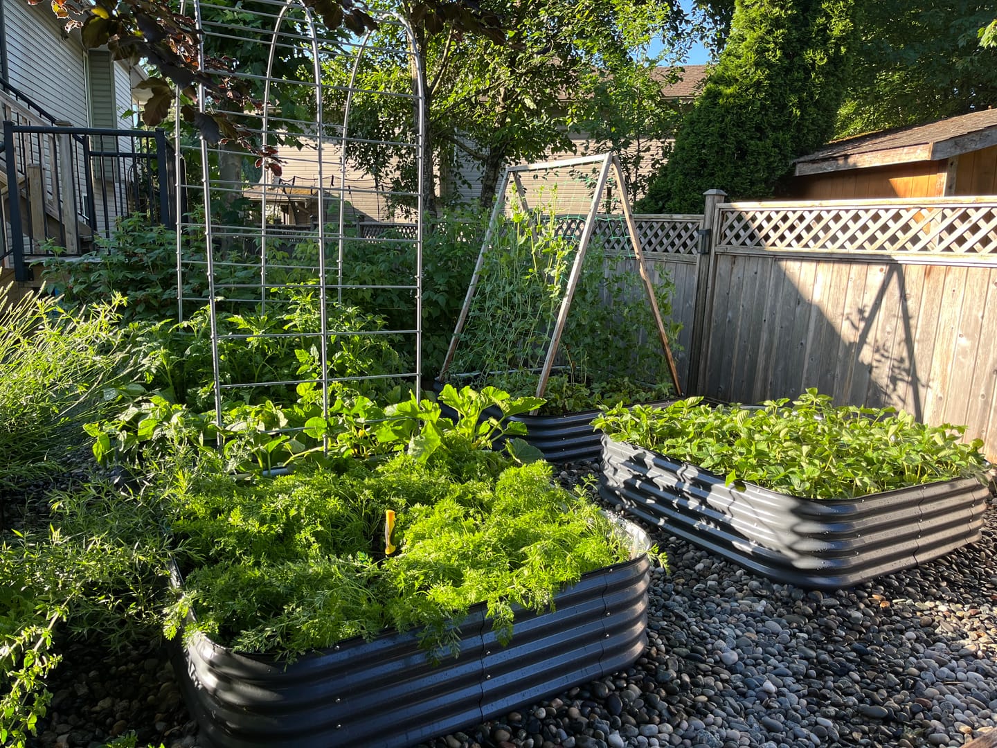 Customer photo review of Arch Garden Trellis