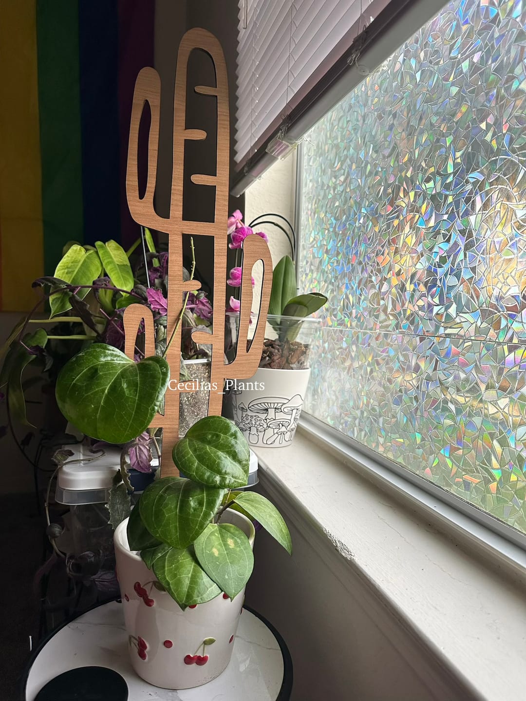 Customer photo review of Cactrella - Plant trellis inspired by the Barrel Cactus