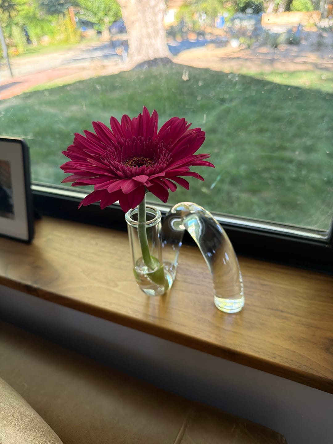 Customer photo review of Ema Twist Glass Candle Holders
