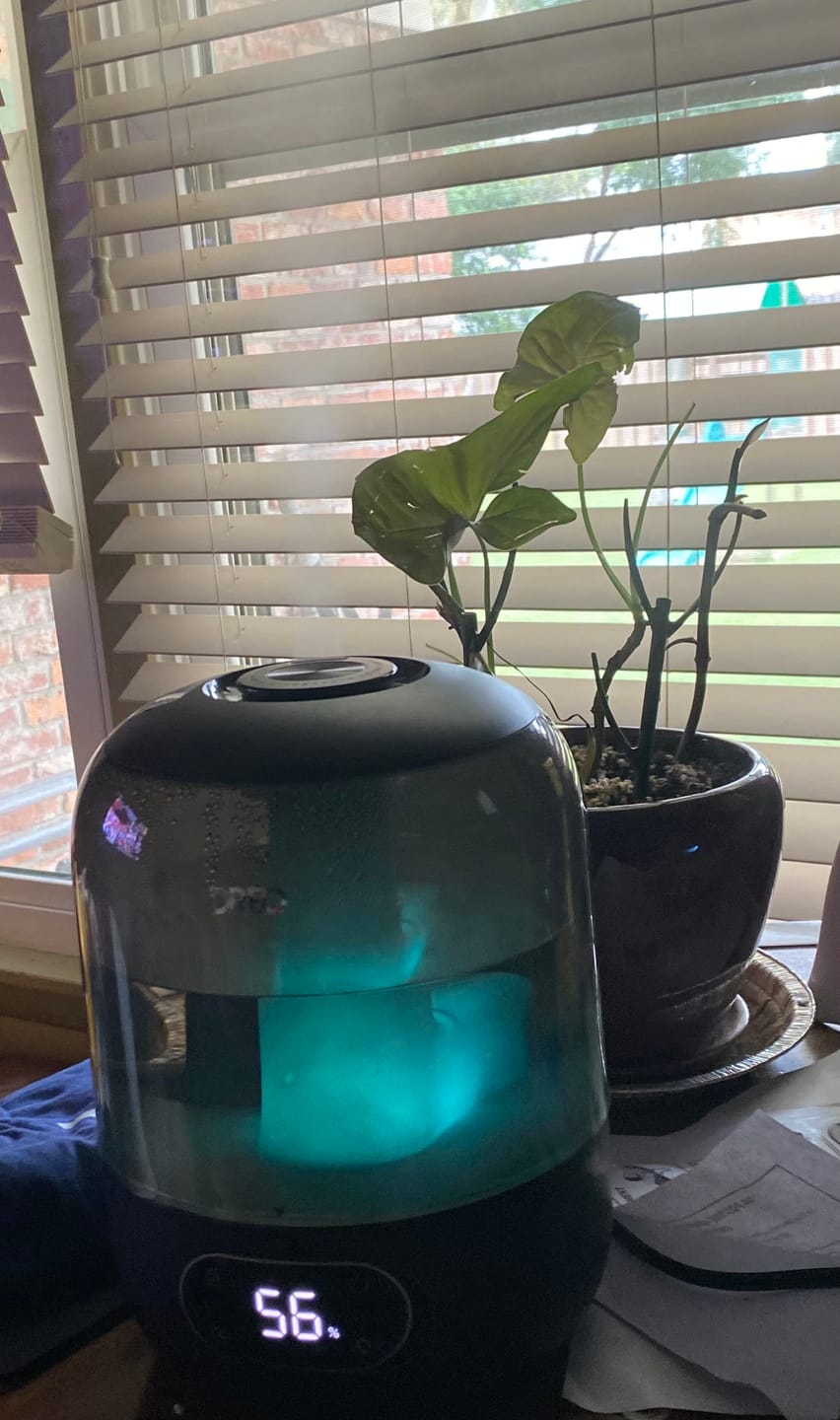 Customer photo review of Humidifier 306 3L