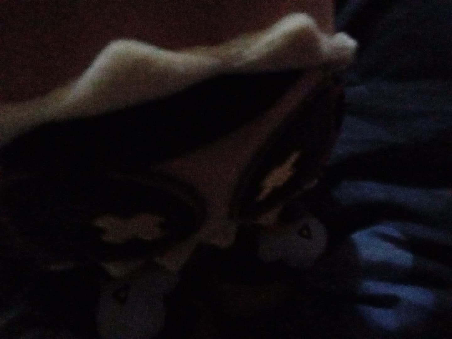 Customer photo review of Cyn T-Rex Plush