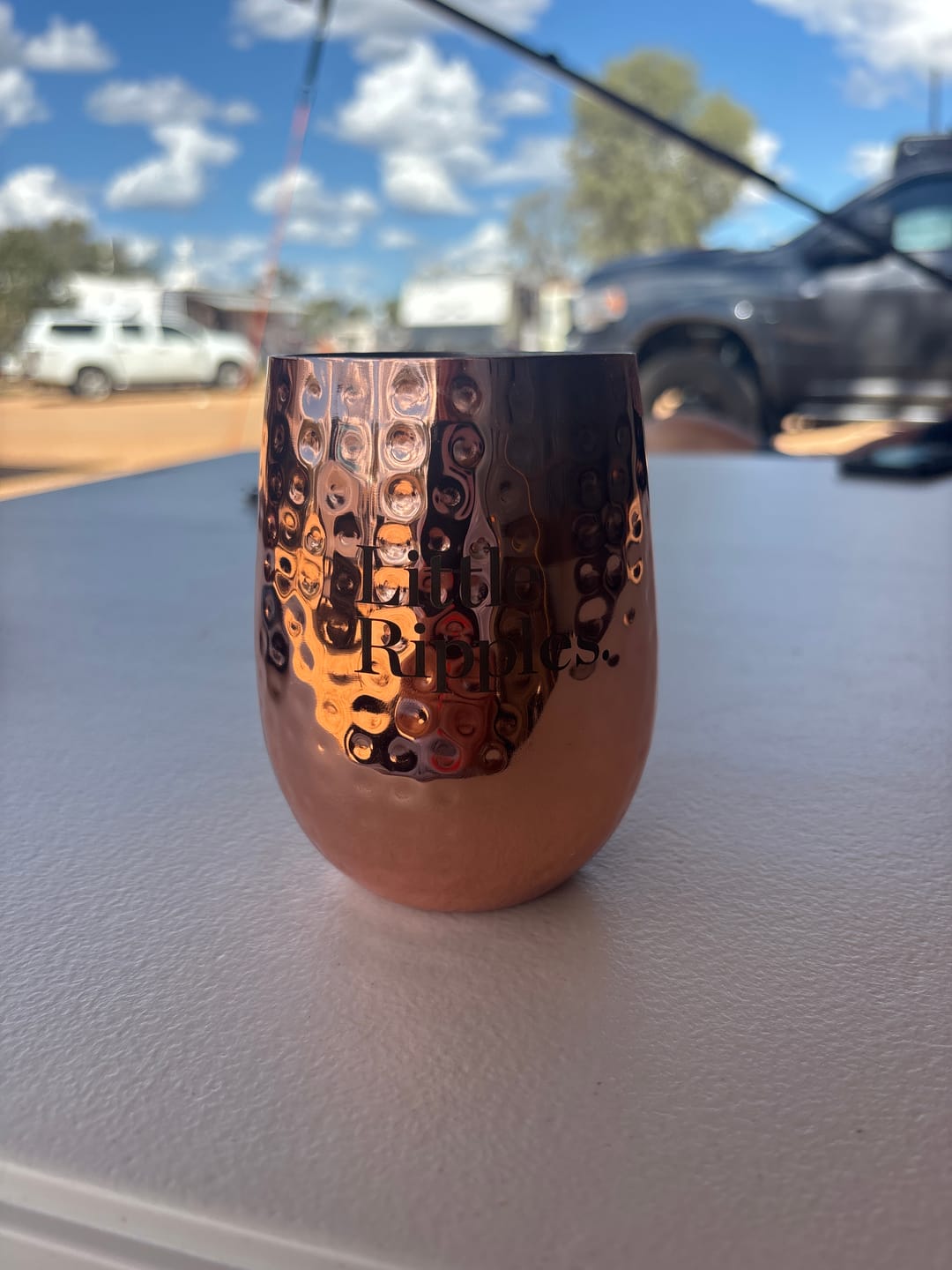 Customer photo review of Zero Sugar Rosé – Vegan Australian Wine | 6 Pack