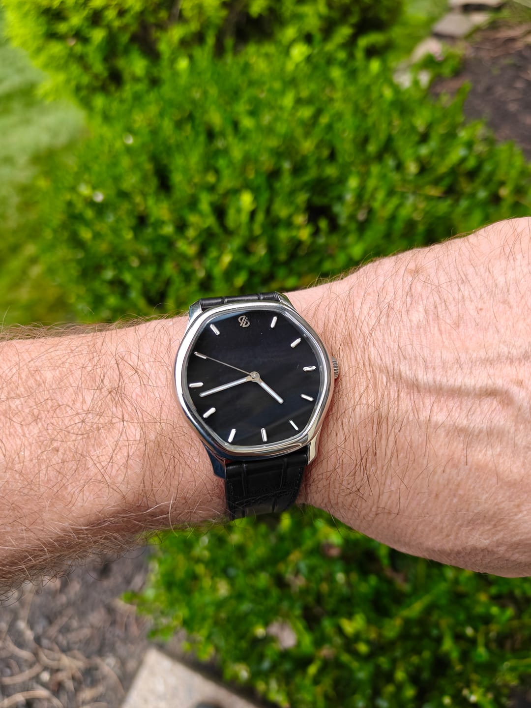 Customer photo review of Matte Black Alligator