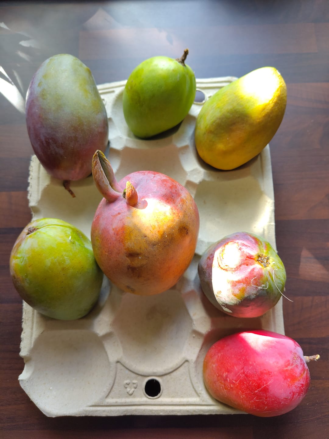 Customer photo review of Mango Mix von Juan Retterpreis %