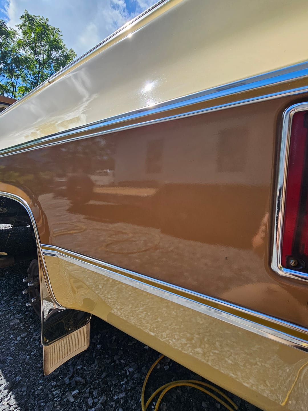 Customer photo review of Classic Polish - 16oz.