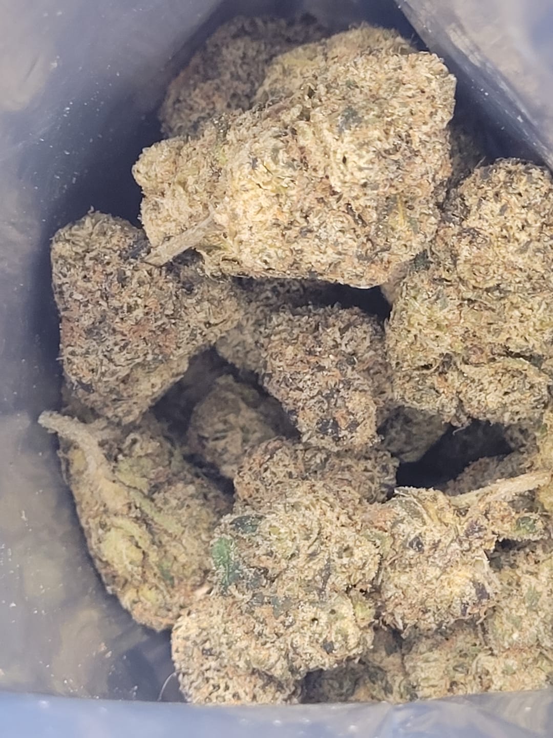 Customer photo review of Brat Berry